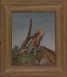 Study of Rocks and Branches